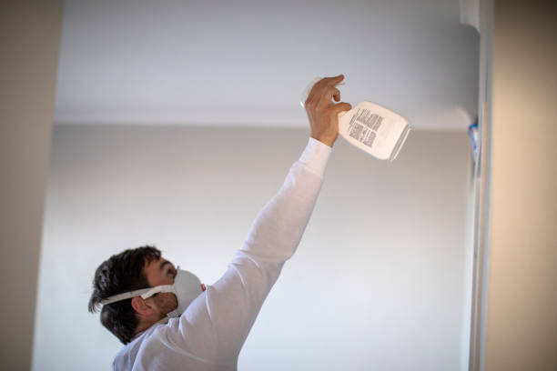 Best Crawl Space Mold Removal  in Irmo, SC