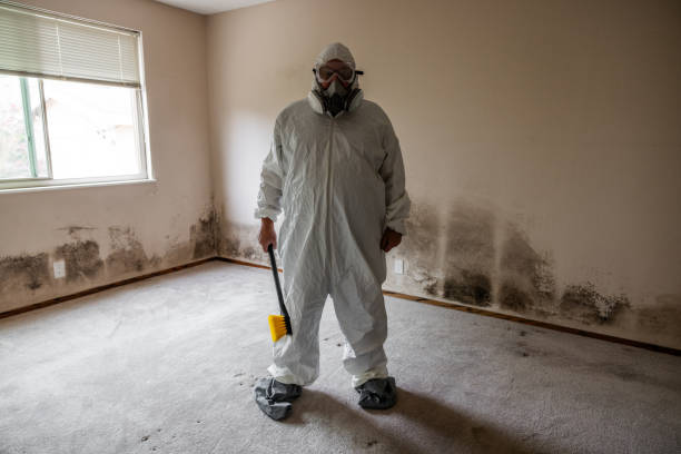 Certified Mold Removal in Irmo, SC